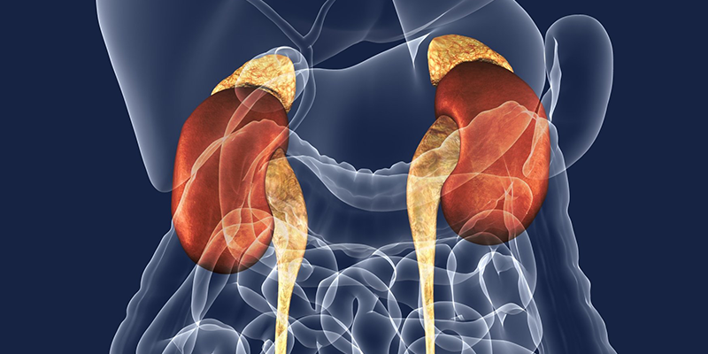 Sobrénal (Suprénal)